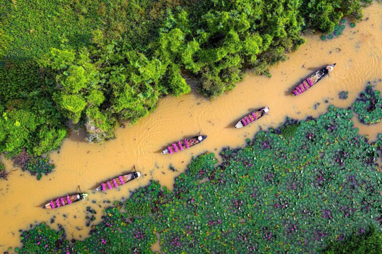 Đồng bằng sông Cửu Long